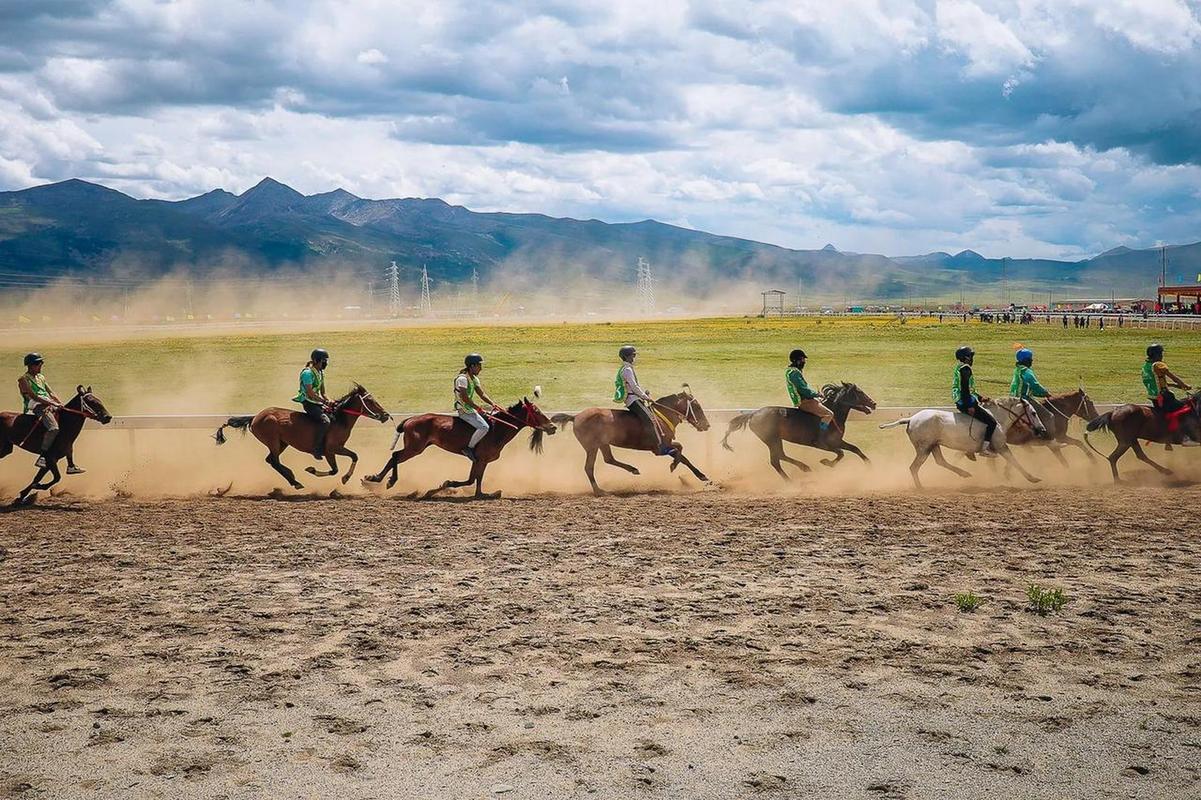APP下载 LY Sports-包含特色山地骑马赛，穿越草原的速度与激情的词条