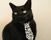 _澳大利亚公开赛观众热情高涨,比赛精彩不断_,澳大利亚公开赛是什么地名