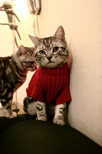 全新战术:如何破解联盟中防守体系?,怎么突破联防