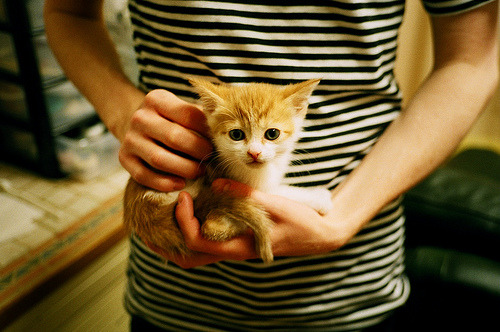 下载乐鱼体育APP-女足国青队获国际邀请赛亚军，进攻效率备受肯定，中国女足国青队