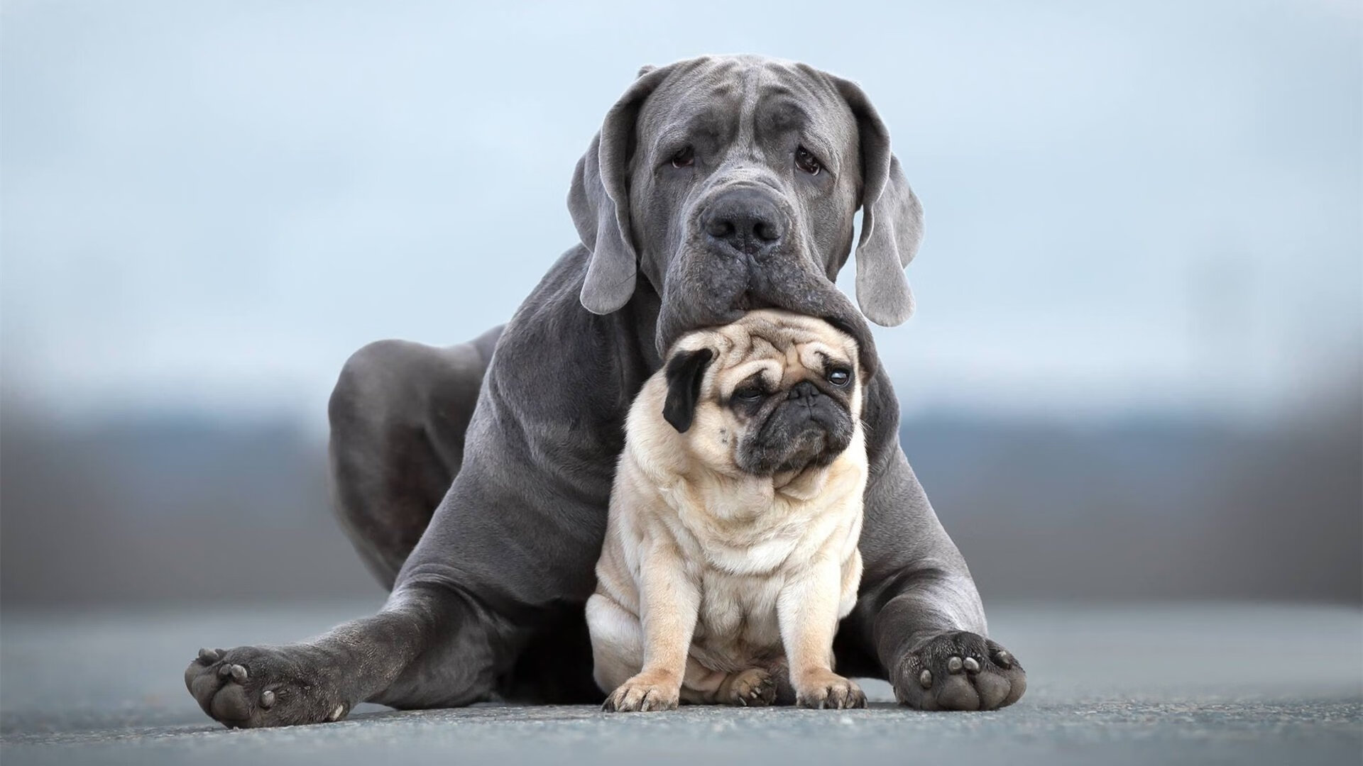 乐鱼体育登录-青少年“绿色环保”篮球系列赛事在西安火热推进，倡导低碳健康生活