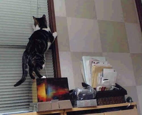 乐鱼官方登录入口-世界围棋团体赛中国队成功卫冕，2020世界围棋