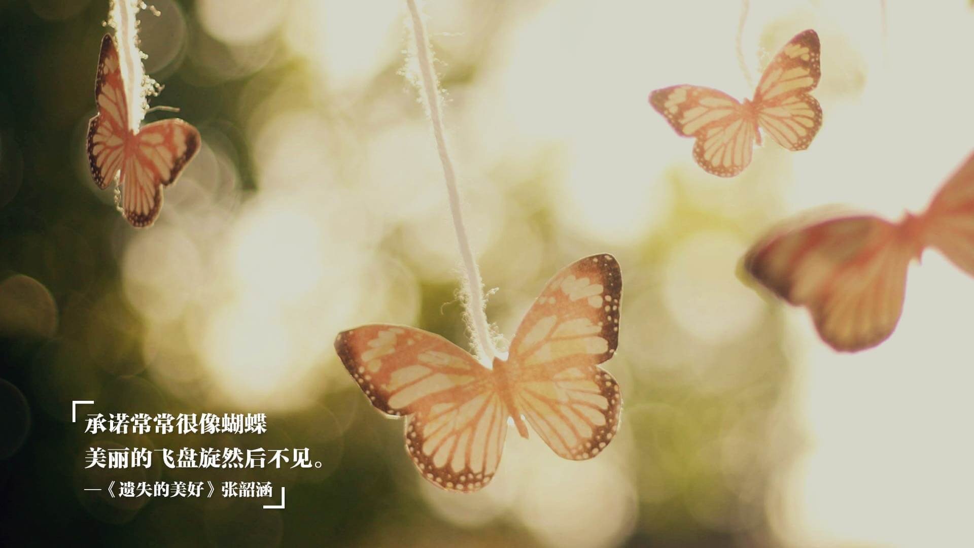 亚洲杯冠军助力中国足球崛起 利好消息频传,亚洲杯冠军2021