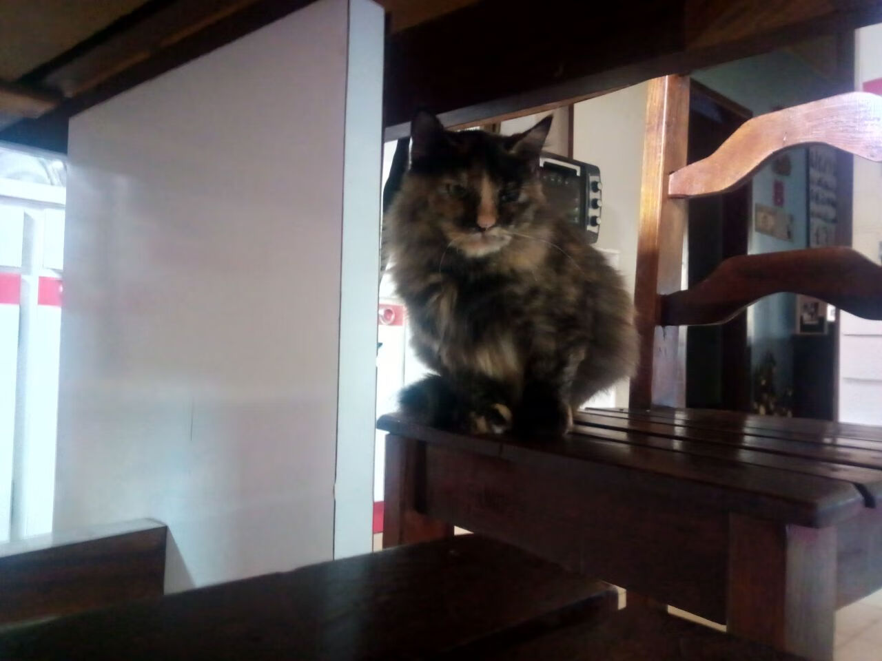 leyu乐鱼官网登录入口-关键橄榄球防守布阵图解，关键橄榄球防守布阵图解大全