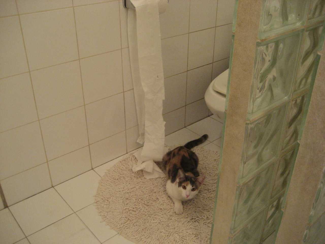 扎马莱克签约新赞助商，提升品牌影响力，扎克莱罗