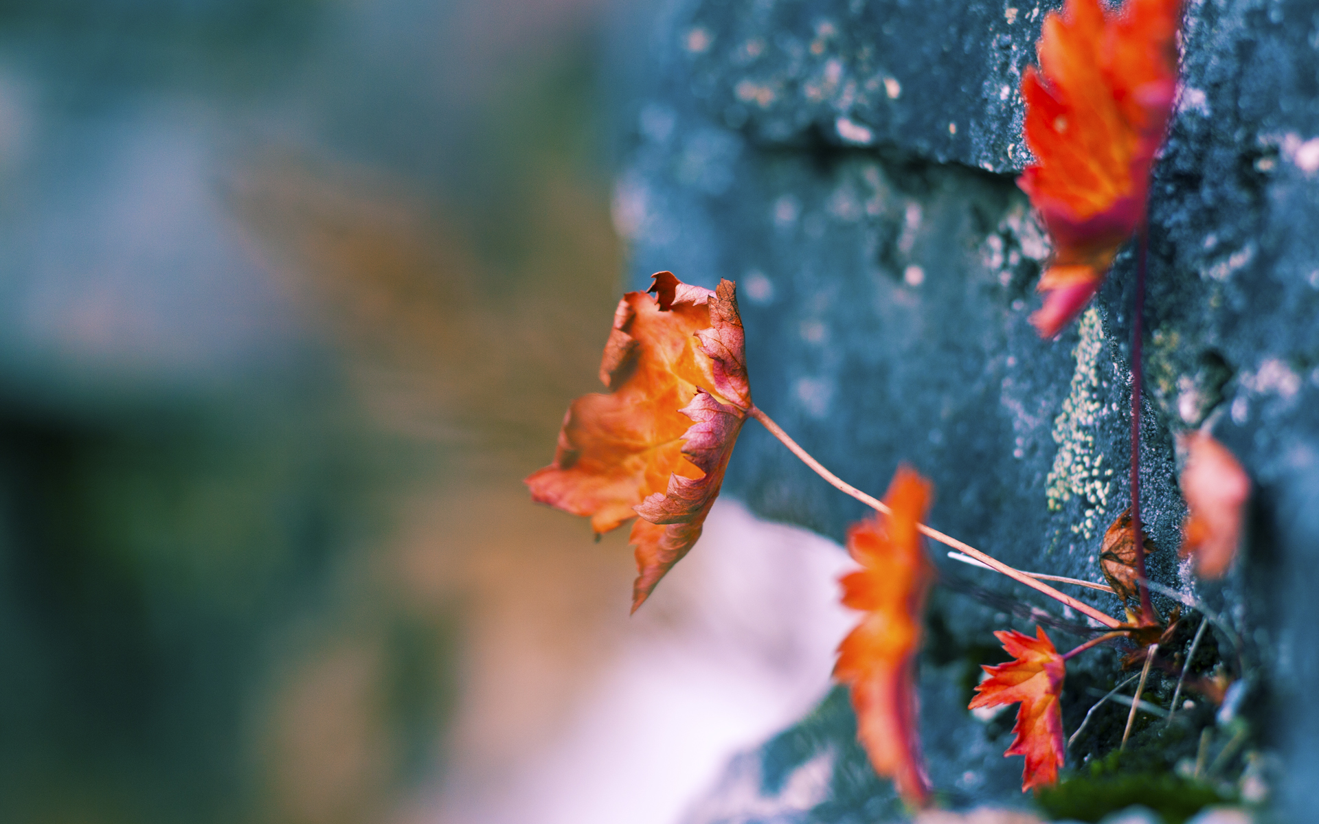 LeyuSports-欧国联赛赛程紧张，球队备战各具特色，欧国联赛程比赛结果