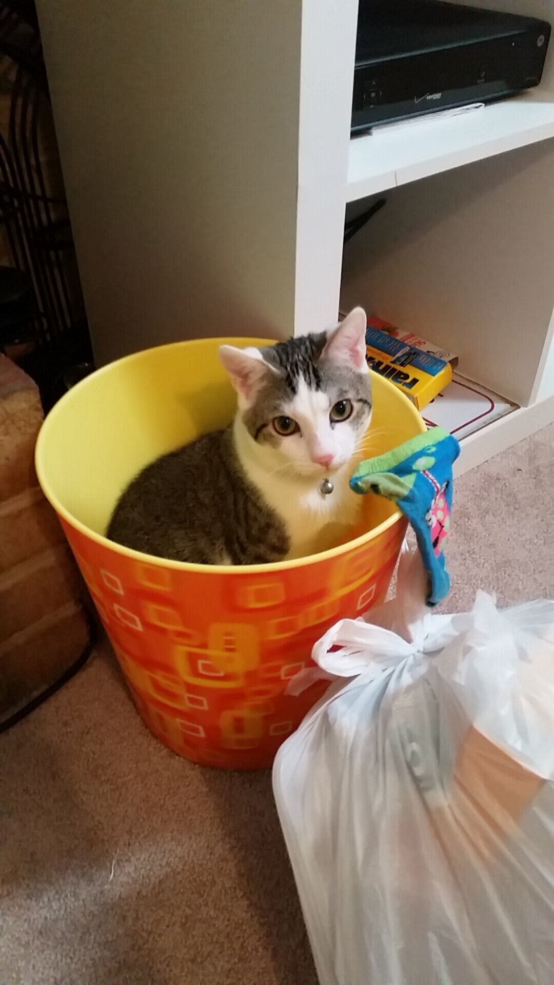 欧国联赛风云突变,球队战绩受关注,欧国联赛程2020赛程