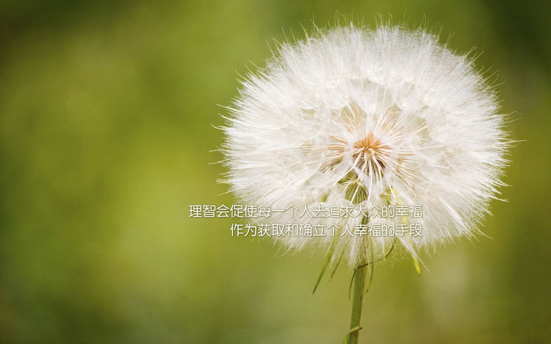 法国女足强势夺冠，成为夺冠热门，法国女足世界排名