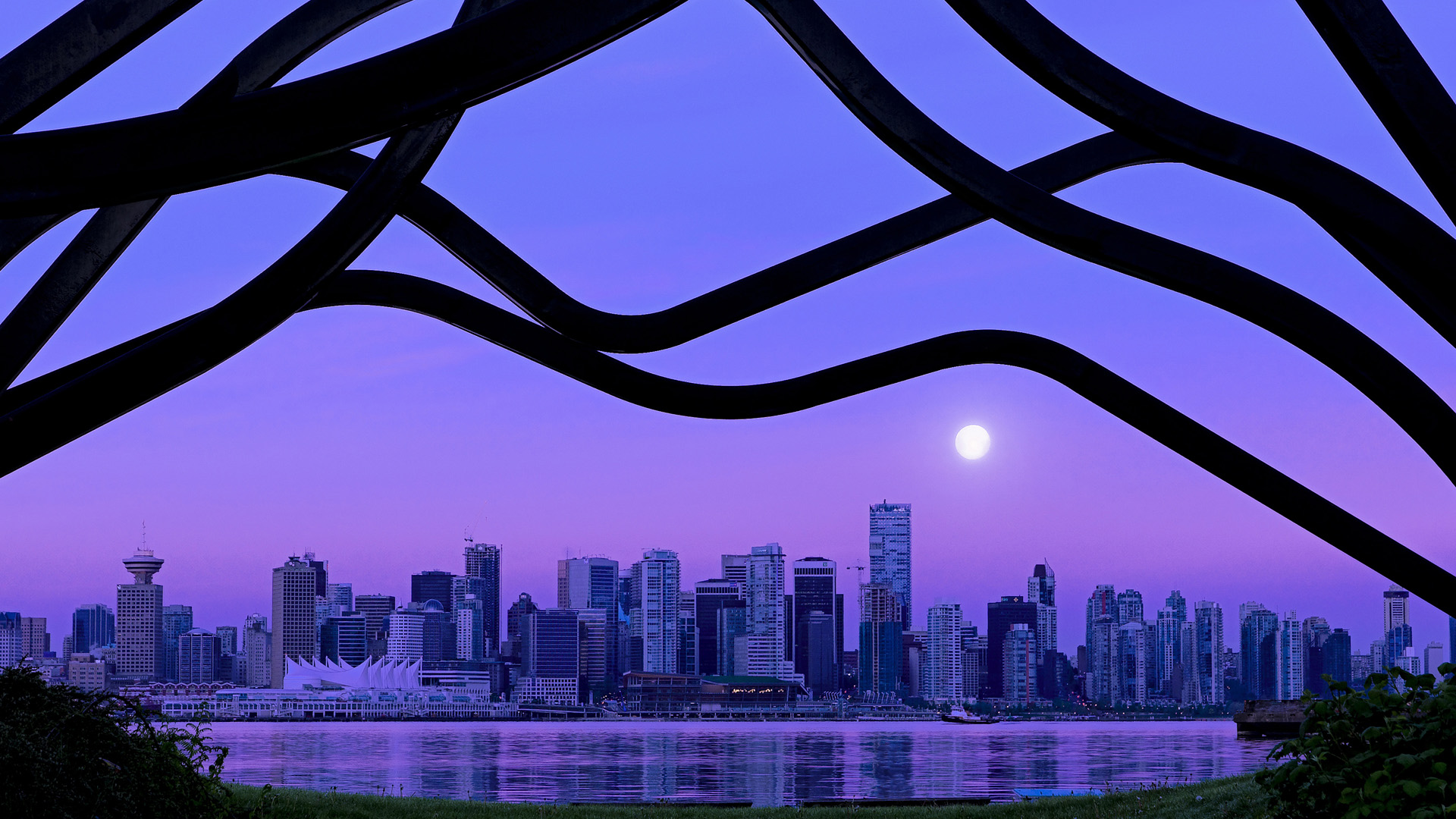 世界青年游泳比赛中国队多人摘金,世界青年游泳记录