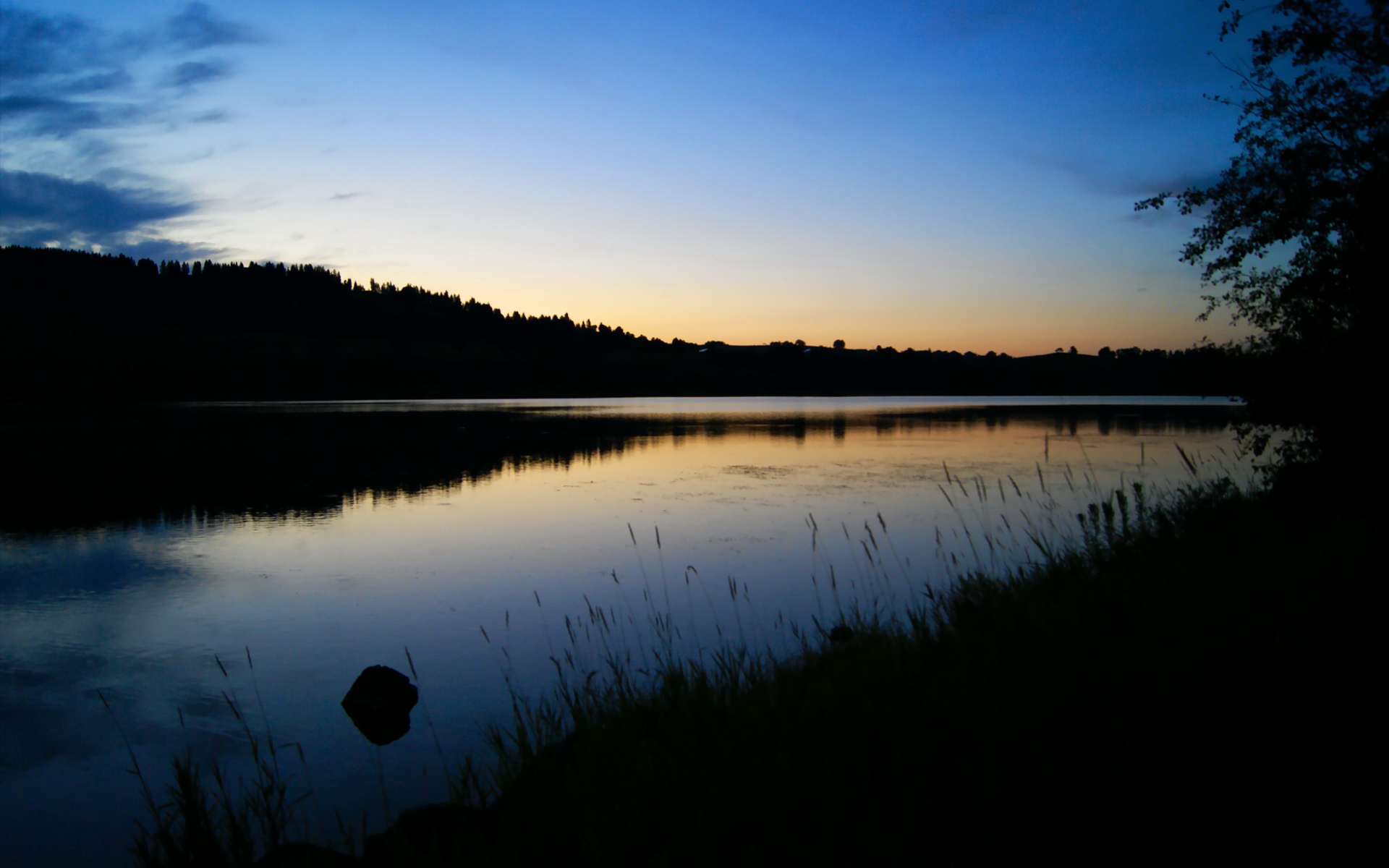 体育新闻语言规范与受众接受度分析，体育新闻语言规范与受众接受度分析报告
