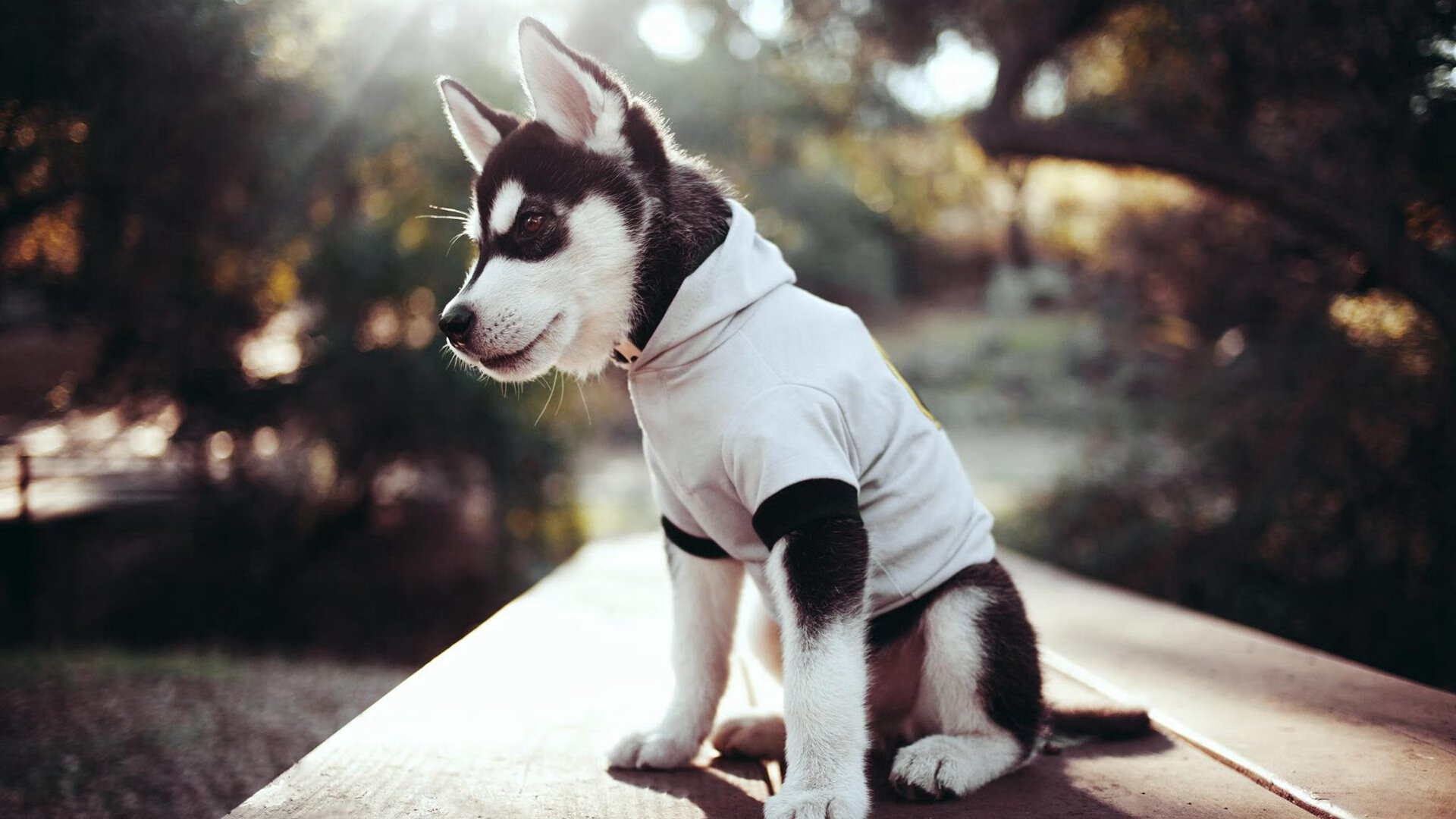 全面预测:五大联赛本轮比赛谁能称霸?,五大联赛一般的比赛时间