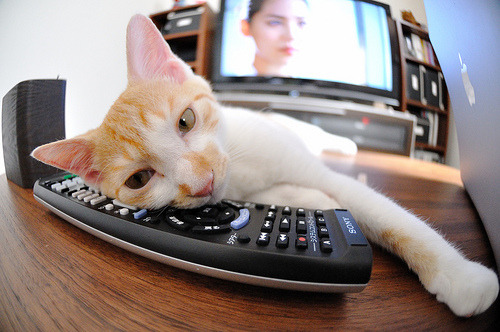 Leyu Sport下载-亚洲杯中国女足战胜 球员发挥出色，亚洲杯中国女足战胜 球员发挥出色的是谁