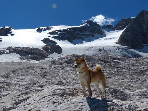 替补席火力全开谁是板凳奇兵，板凳球员和替补球员