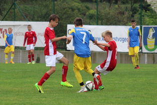 乐鱼电竞在线平台登录入口-塞尔维亚实力不断提升，期待在国际大赛中突破