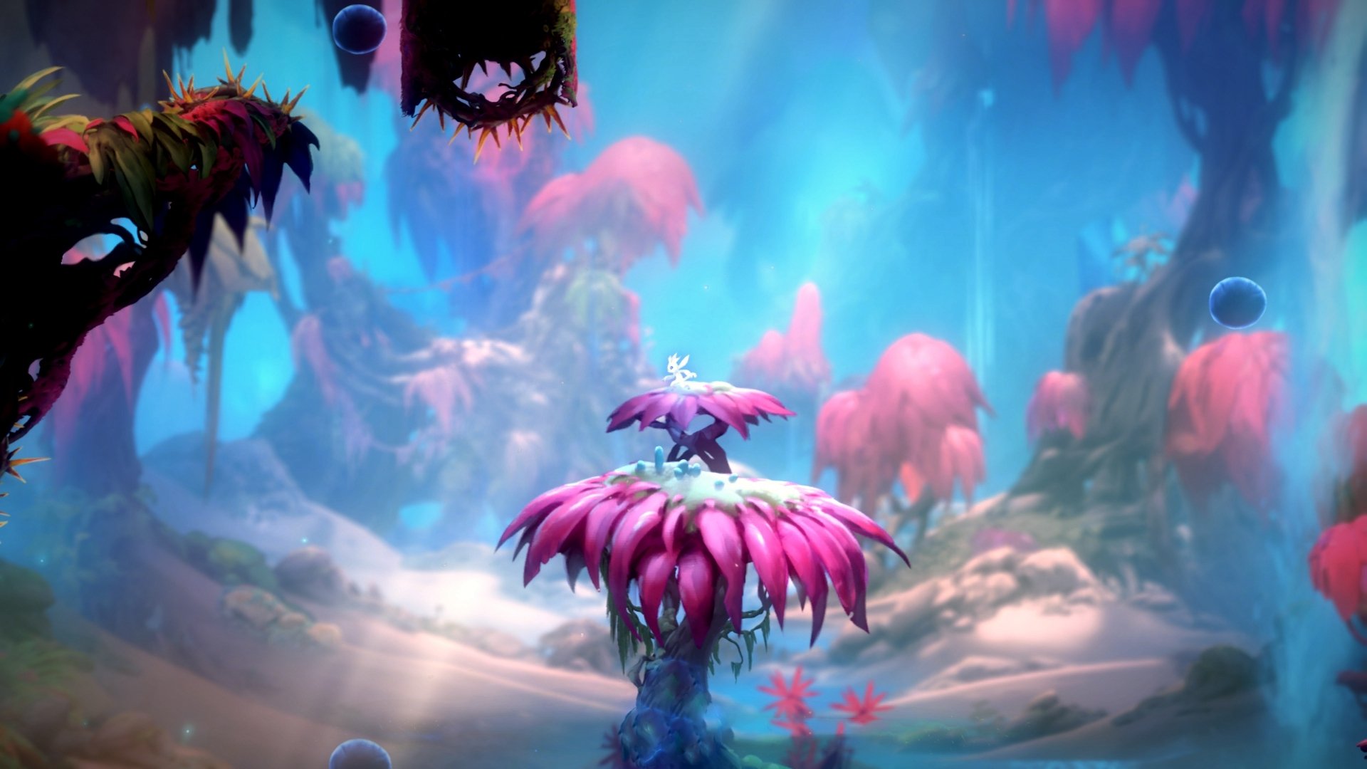 职业联赛设立家庭关怀机制加强球员生活支持