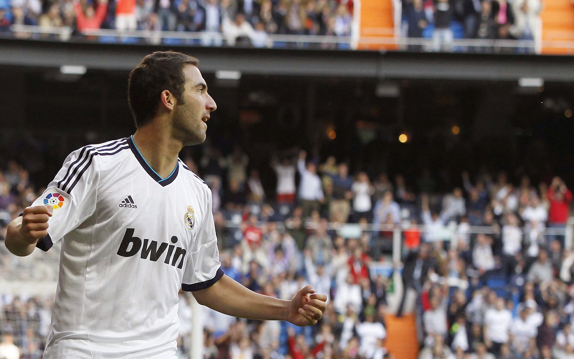 乐鱼VIP注册app下载-“球场上的趣味冷知识，快来涨知识”，球场趣事作文500字